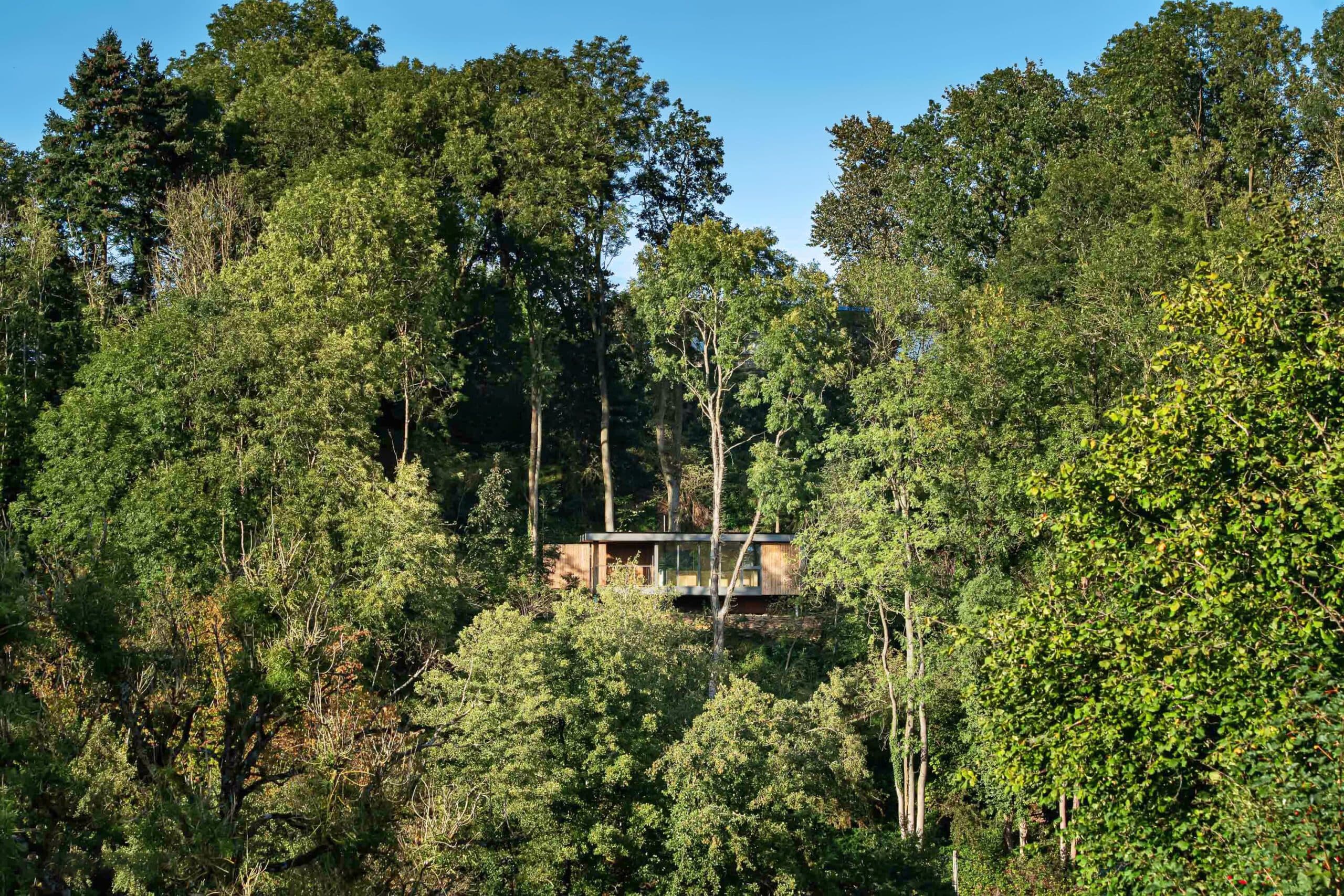 Ciméo Tree Lodges – Canopée du Condroz