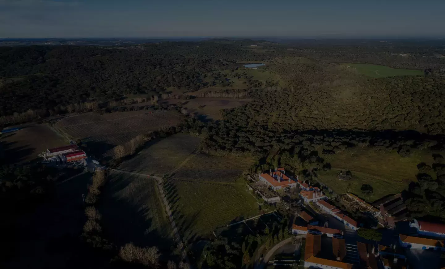 Monte da Ravasqueira — Enoturismo Alentejo