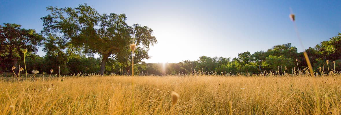 Herdade da Maroteira — Corktrekking Alentejo