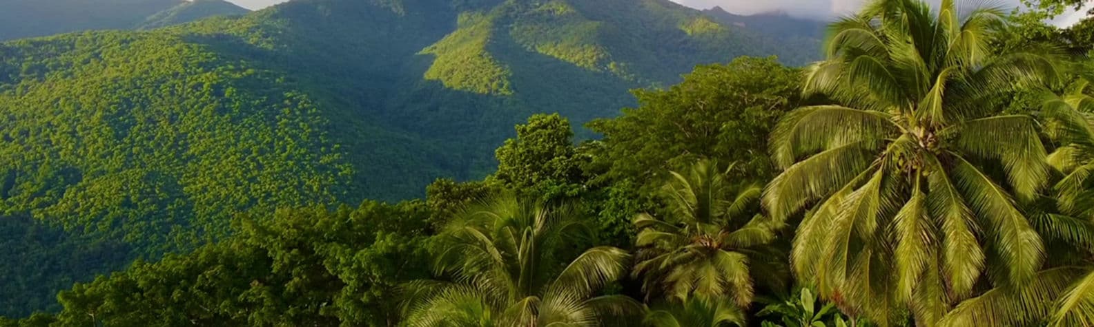 Habitation Caféière Samana Beauséjour — Ecolodges 5★ Guadeloupe