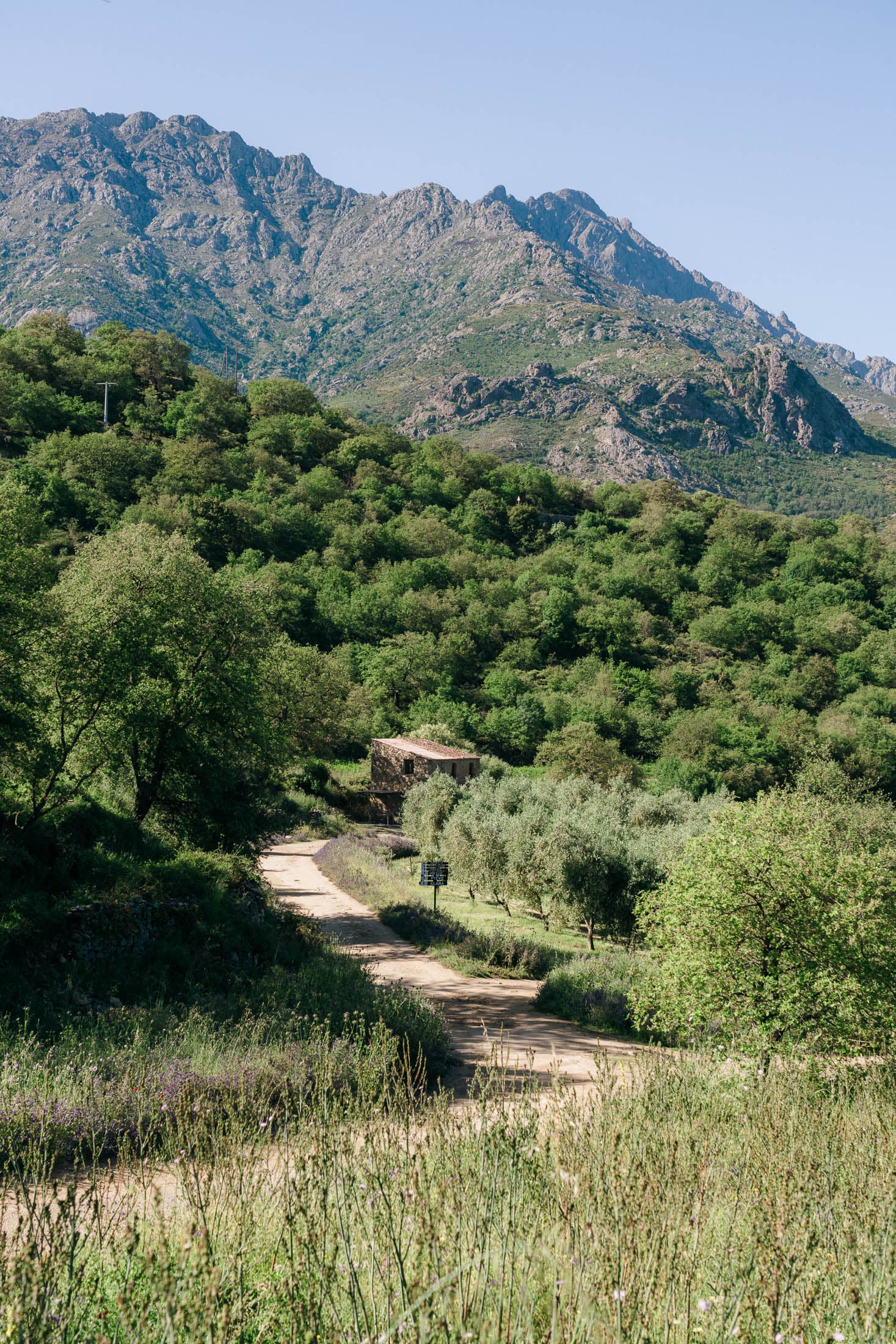 Domaine Acciola
