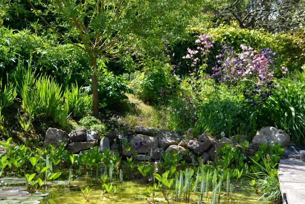 Gîte rural en Permaculture - Cotentin