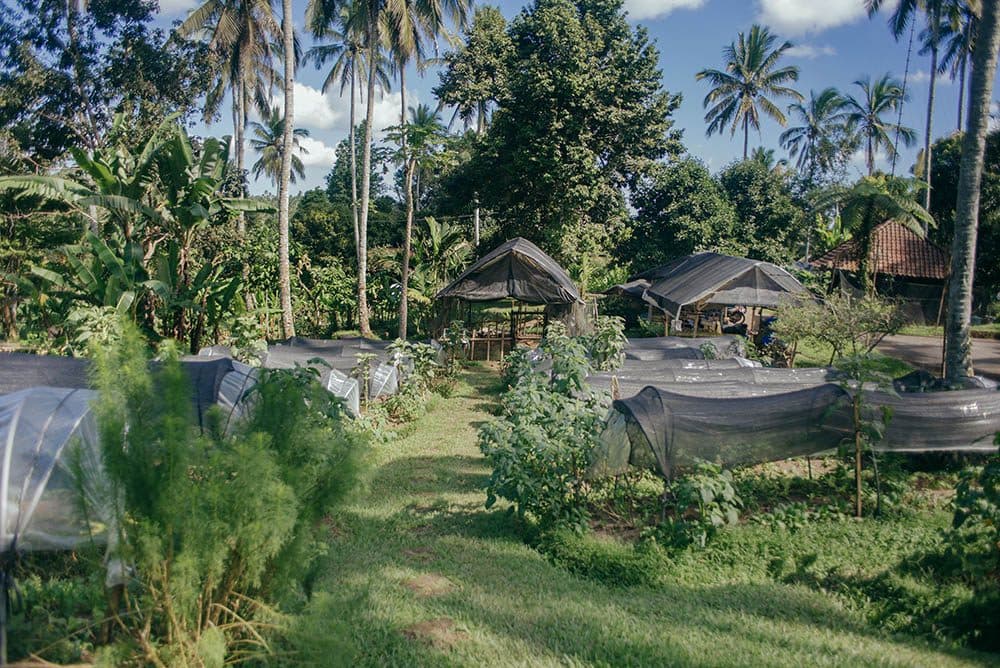 Bali Eco Stay