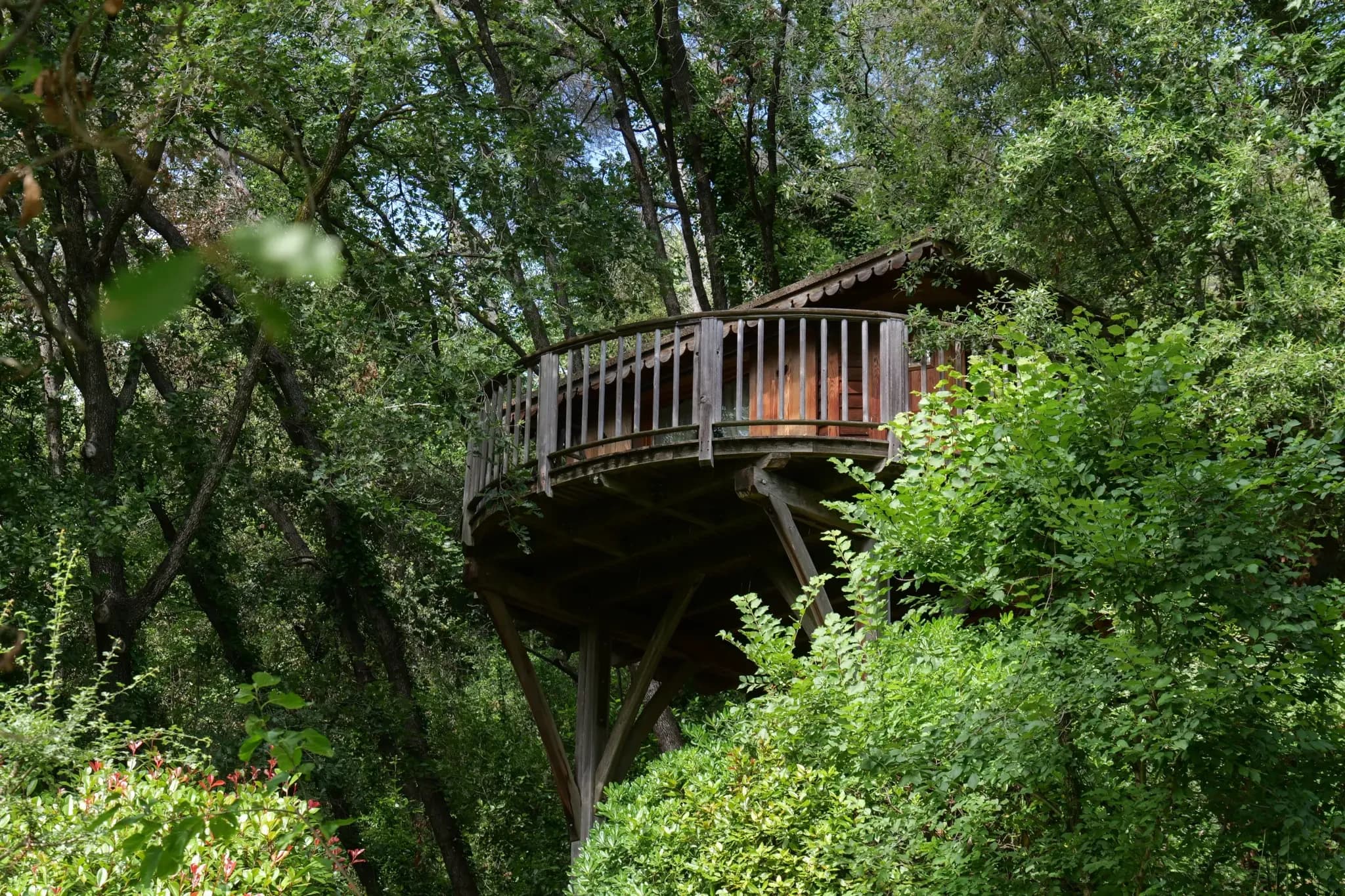 Orion Treehouses