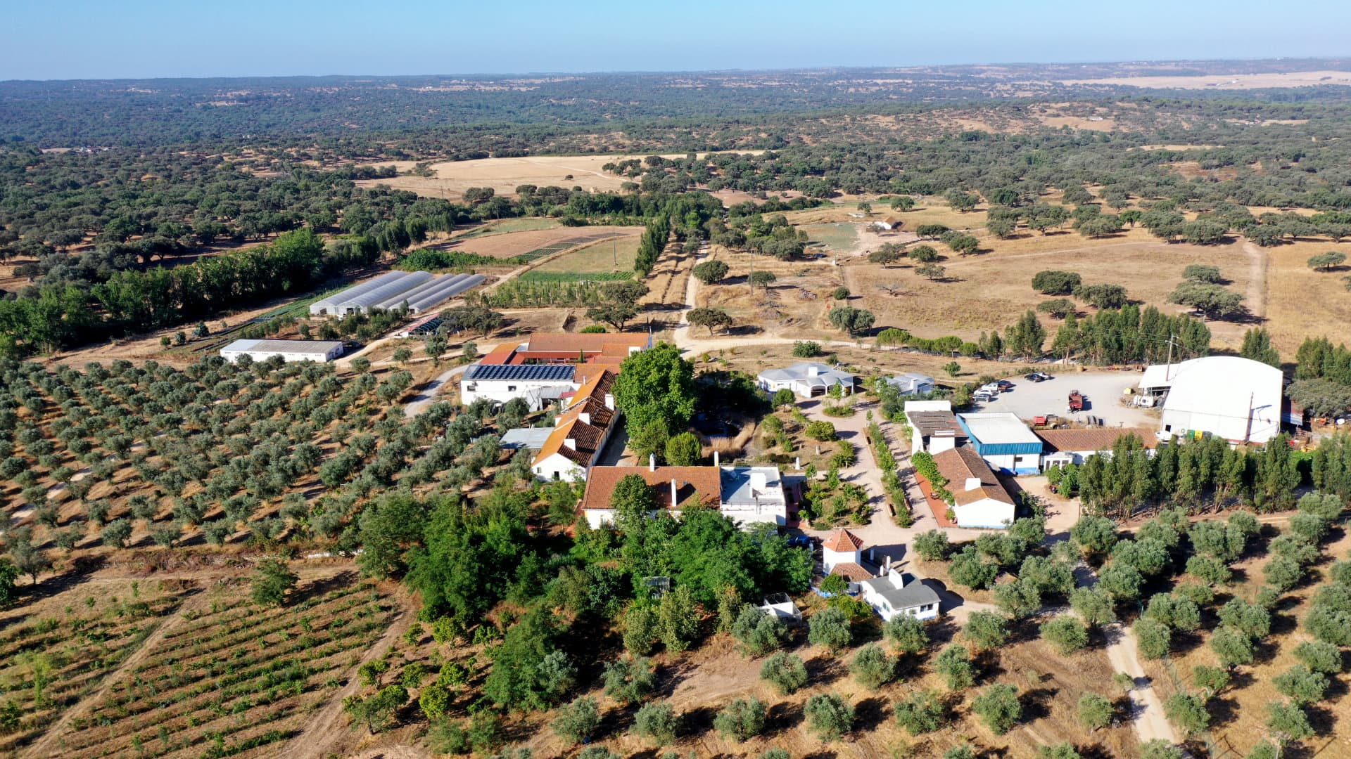 Herdade do Freixo do Meio — Alentejo