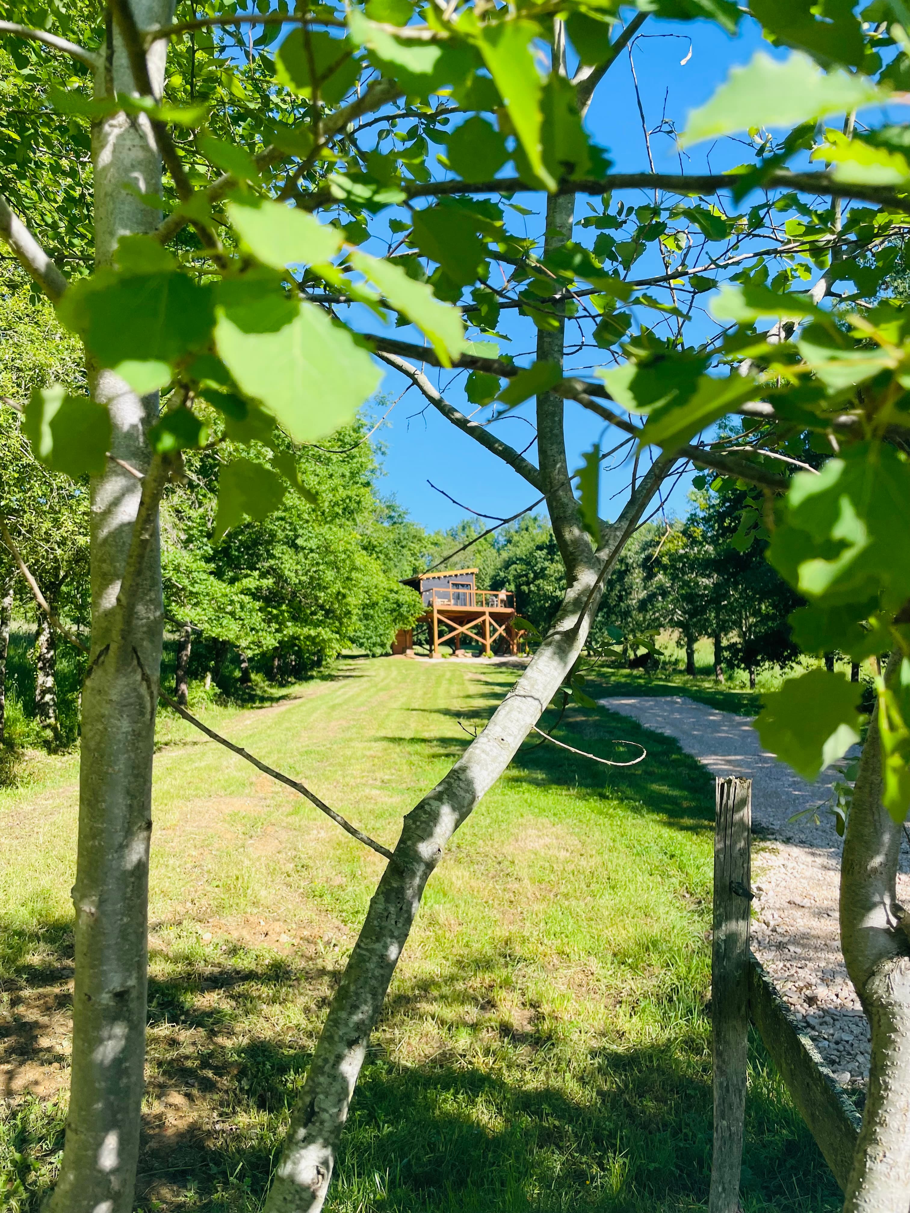 Cabane Feu de Forêt