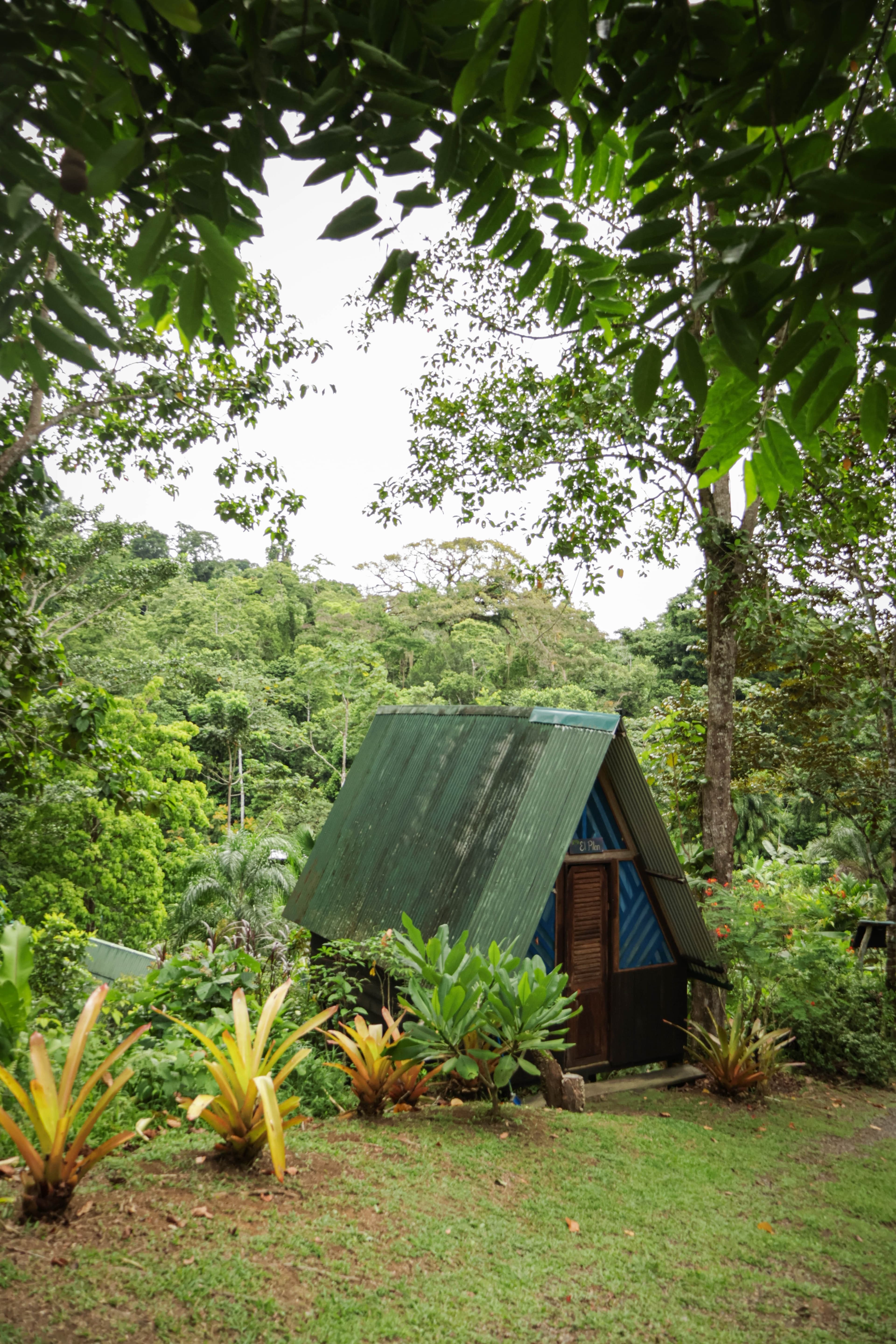 Finca Las Hormigas