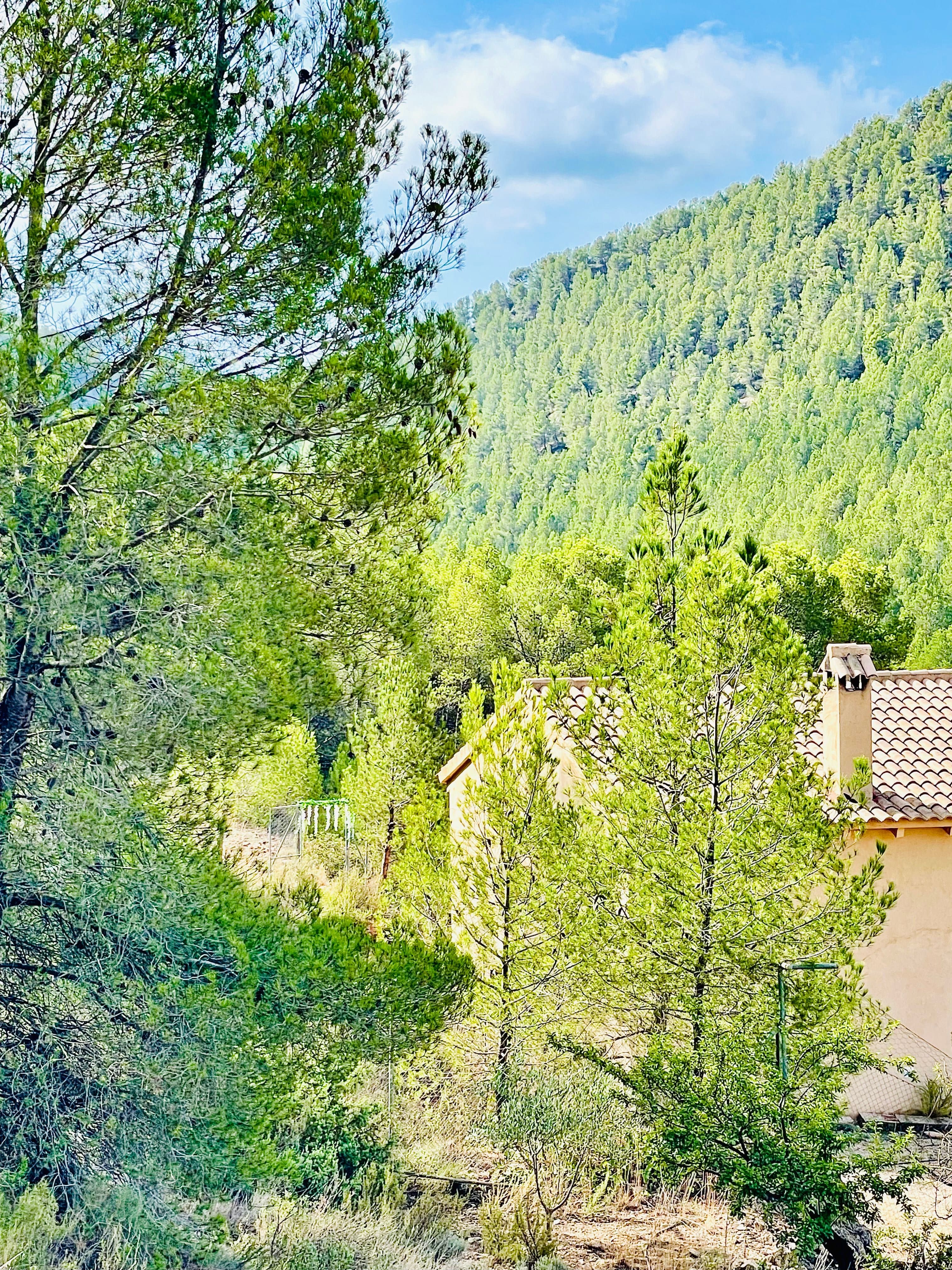 Casa colibrí