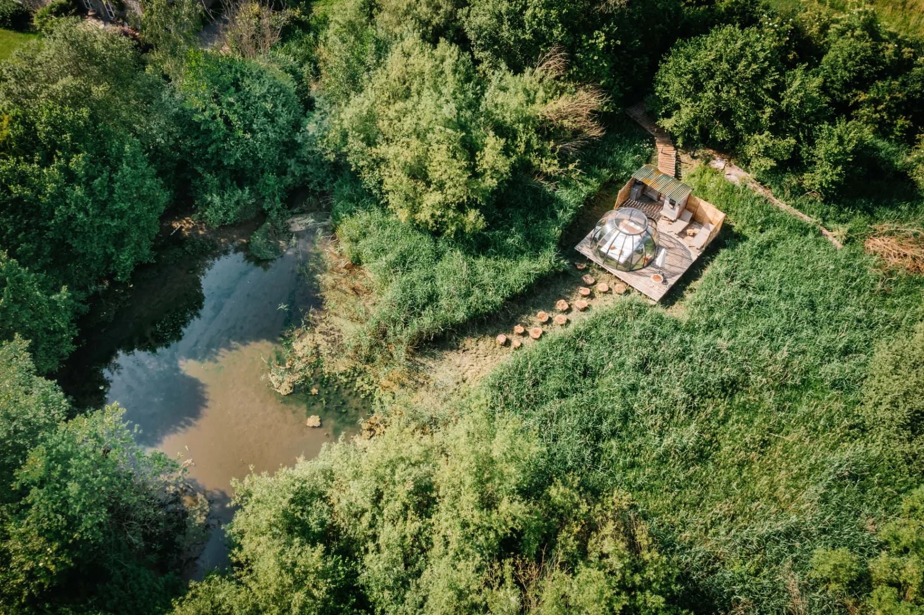 La Mésange