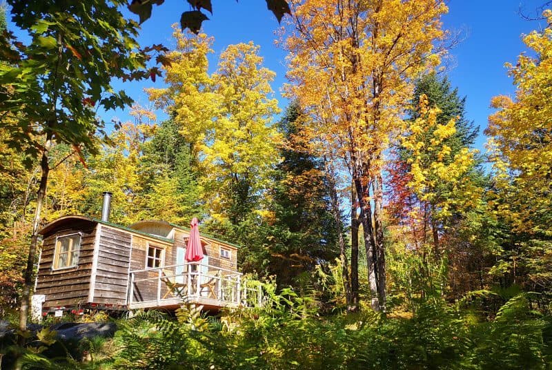 La Tiny House — Micro-habitat responsable