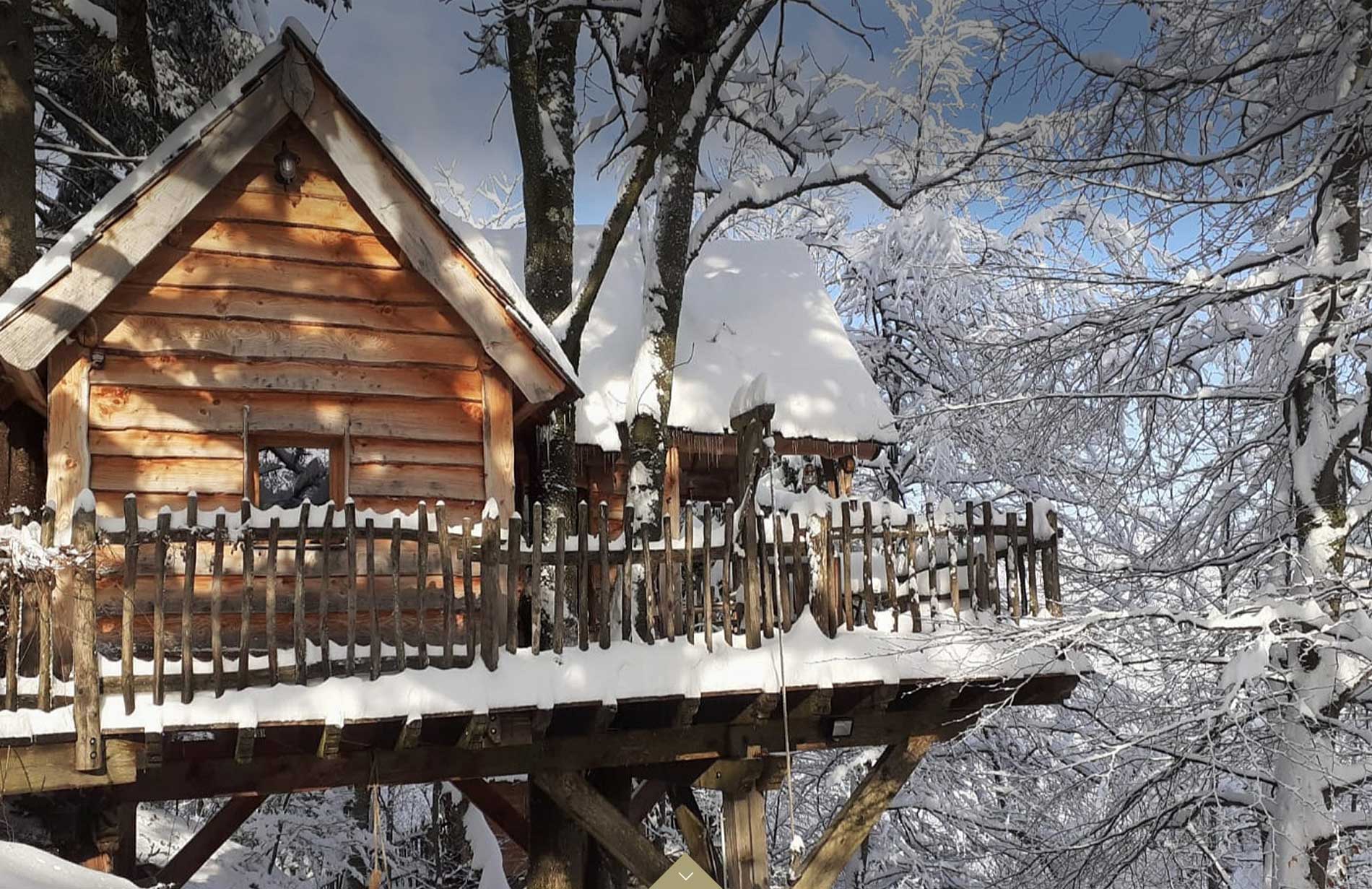 Cabane Nid d'oiseaux