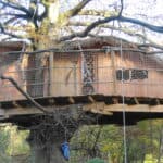 Cabane GUNNERA