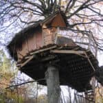 Cabane GUNNERA
