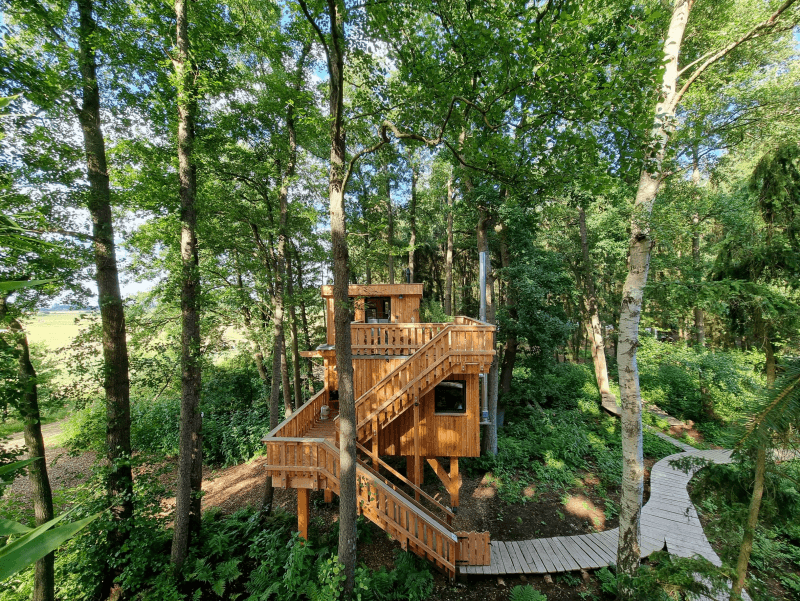 cabanes dans les arbres