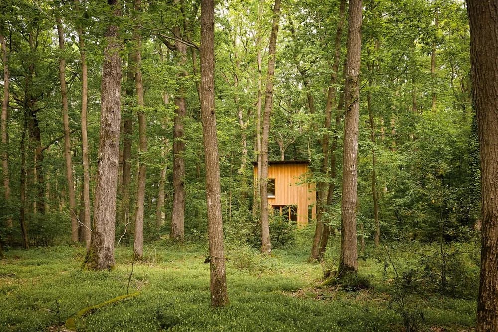 Cabane en famille