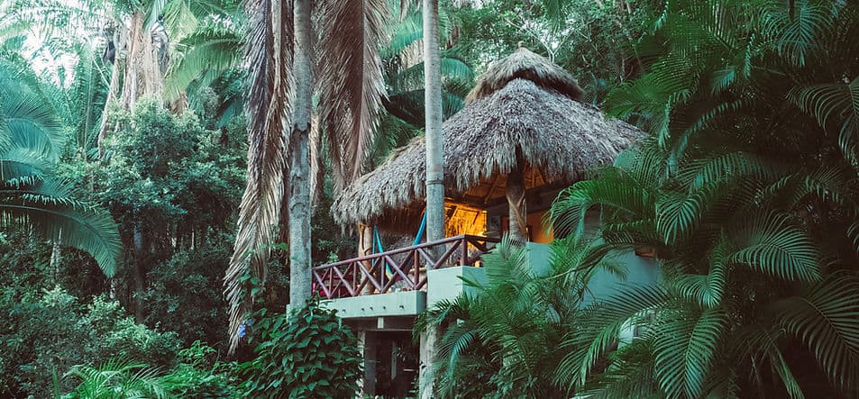 Palapa Gecko — Glamping
