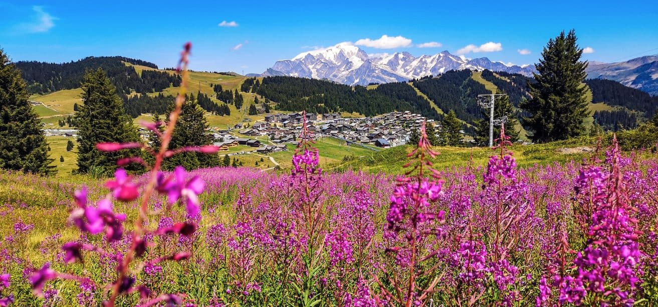 Chalet complet — Famille & amis (haute saison ski)
