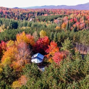 Le Montagnard — Écogîte vue forêt