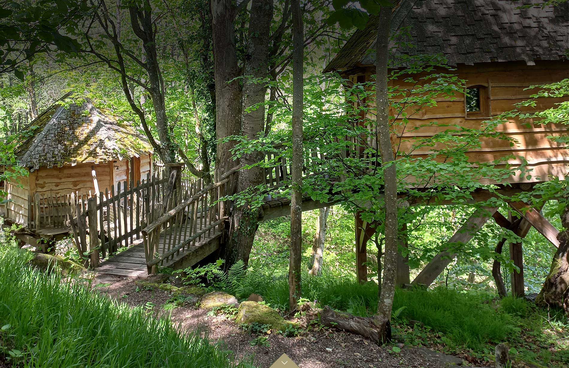 Cabane Écureuil