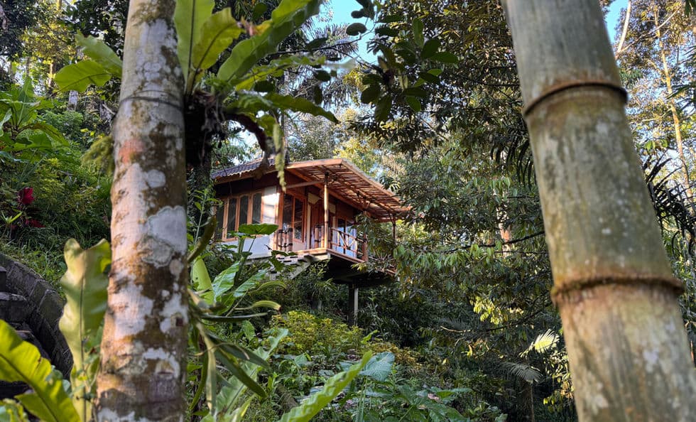 Bamboo Bungalow