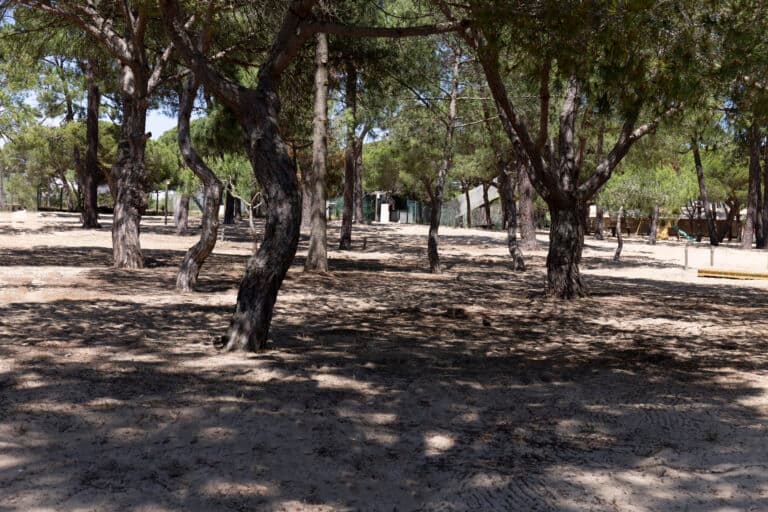 Free Camping — Choisi ton spot