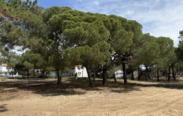 Free Camping — Choisi ton spot