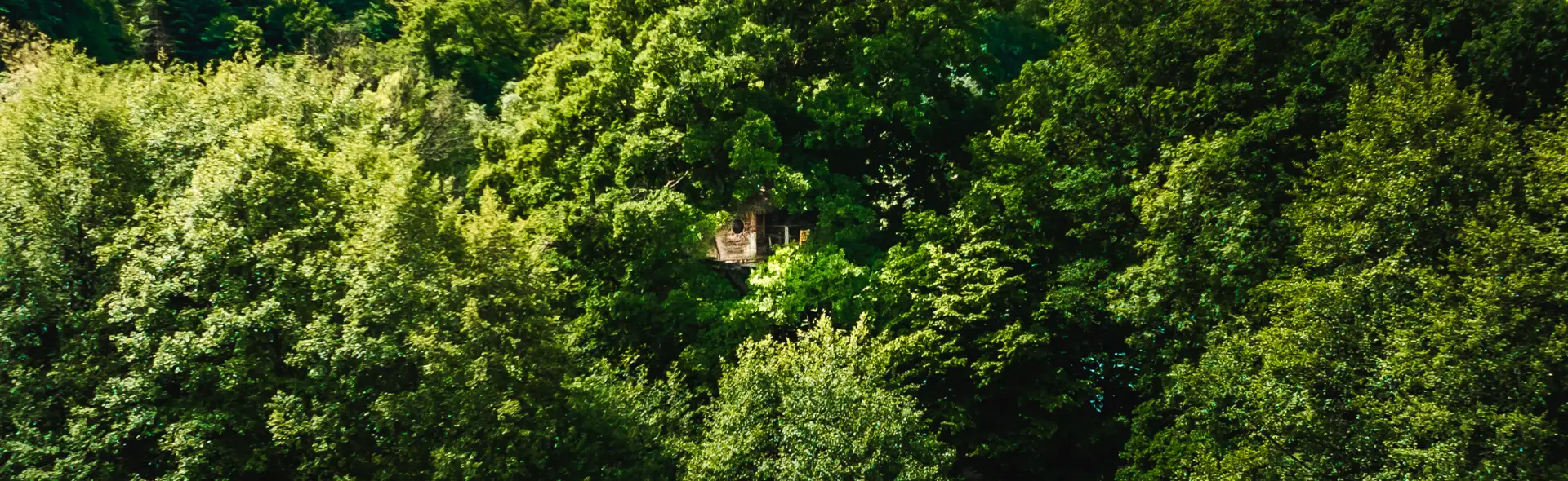 Cabane Infinie