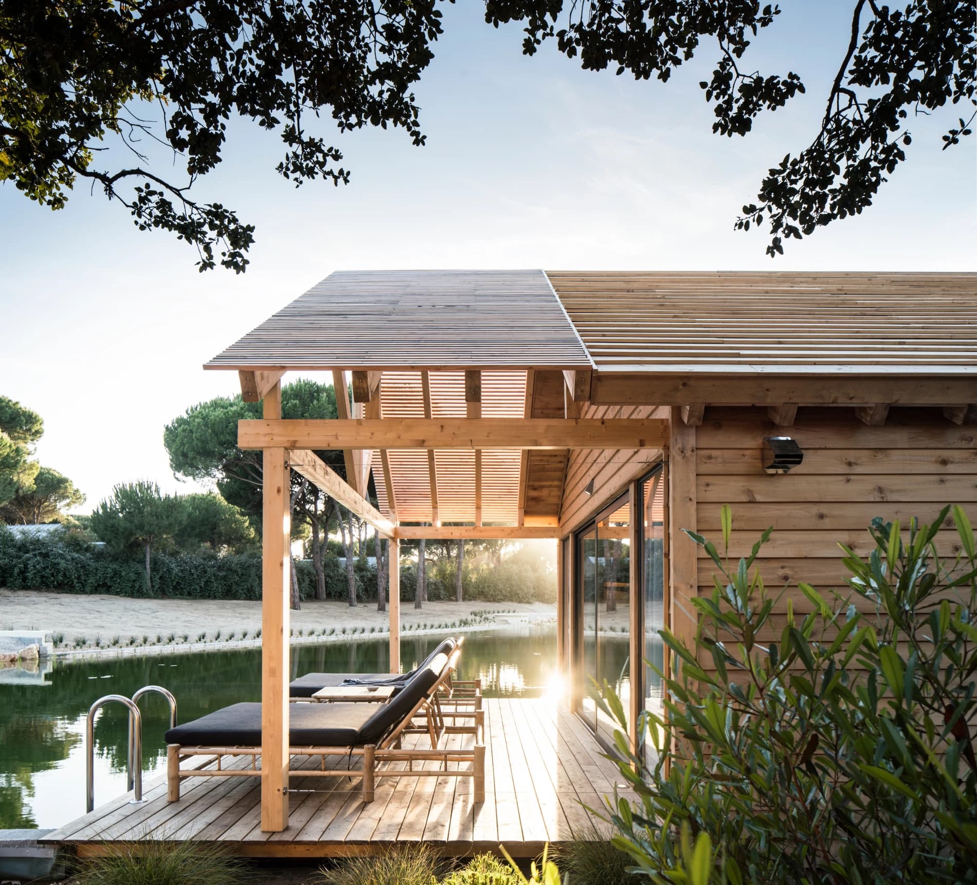 Bio-Pool Suite