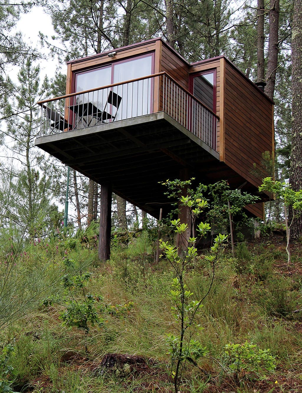 Bungalow T1 (cabane dans les arbres)