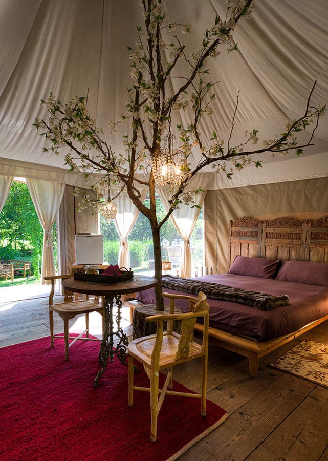 Tent Gelso