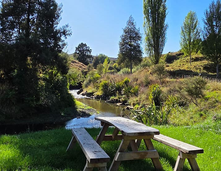 Both Cabins — Exclusive-Use Group Accommodation