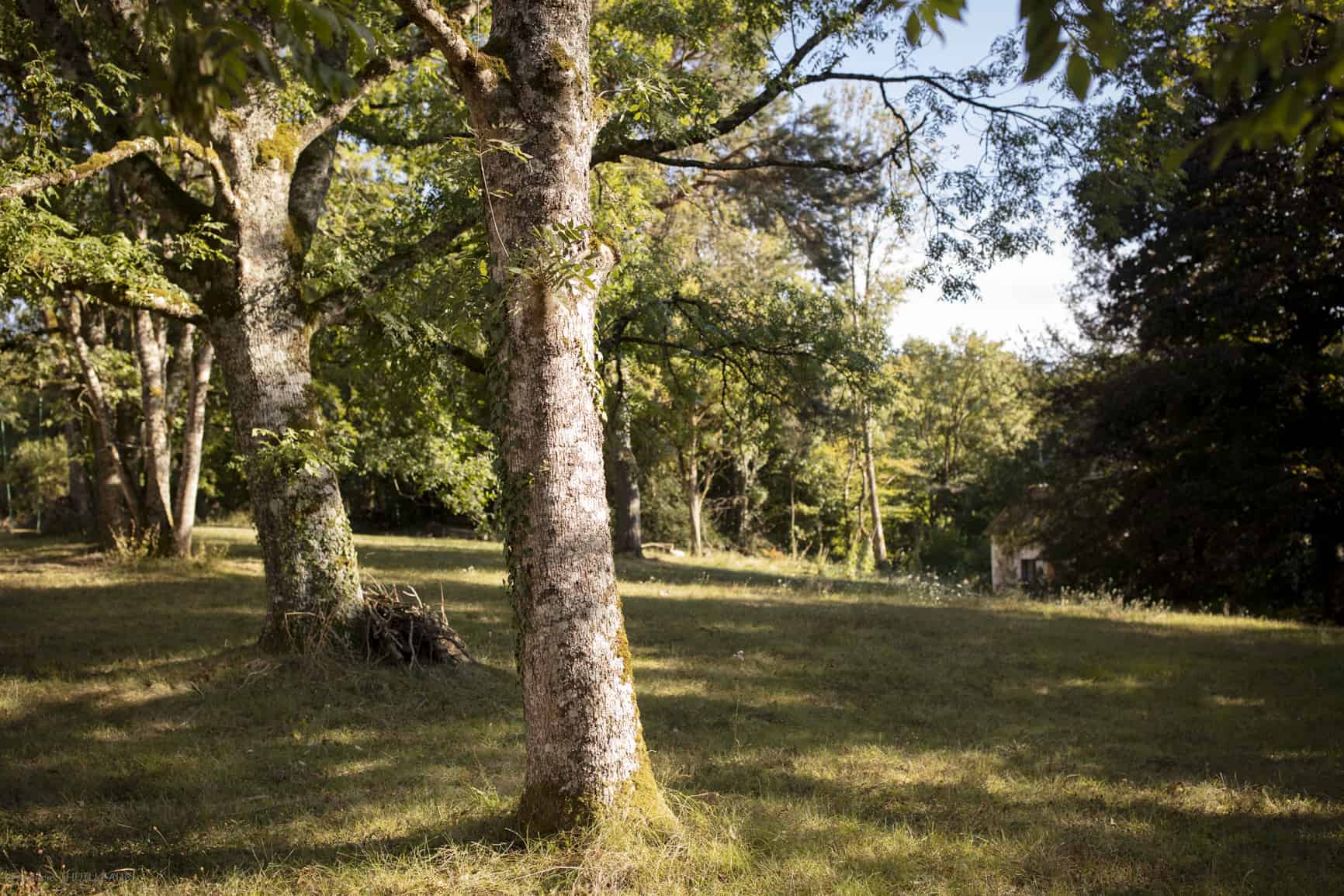 Gîte du Château