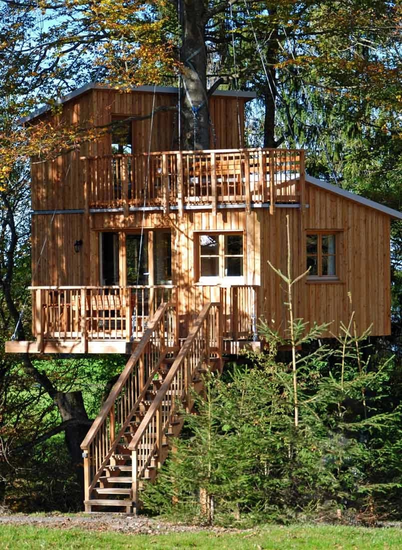 Cabane dans les arbres
