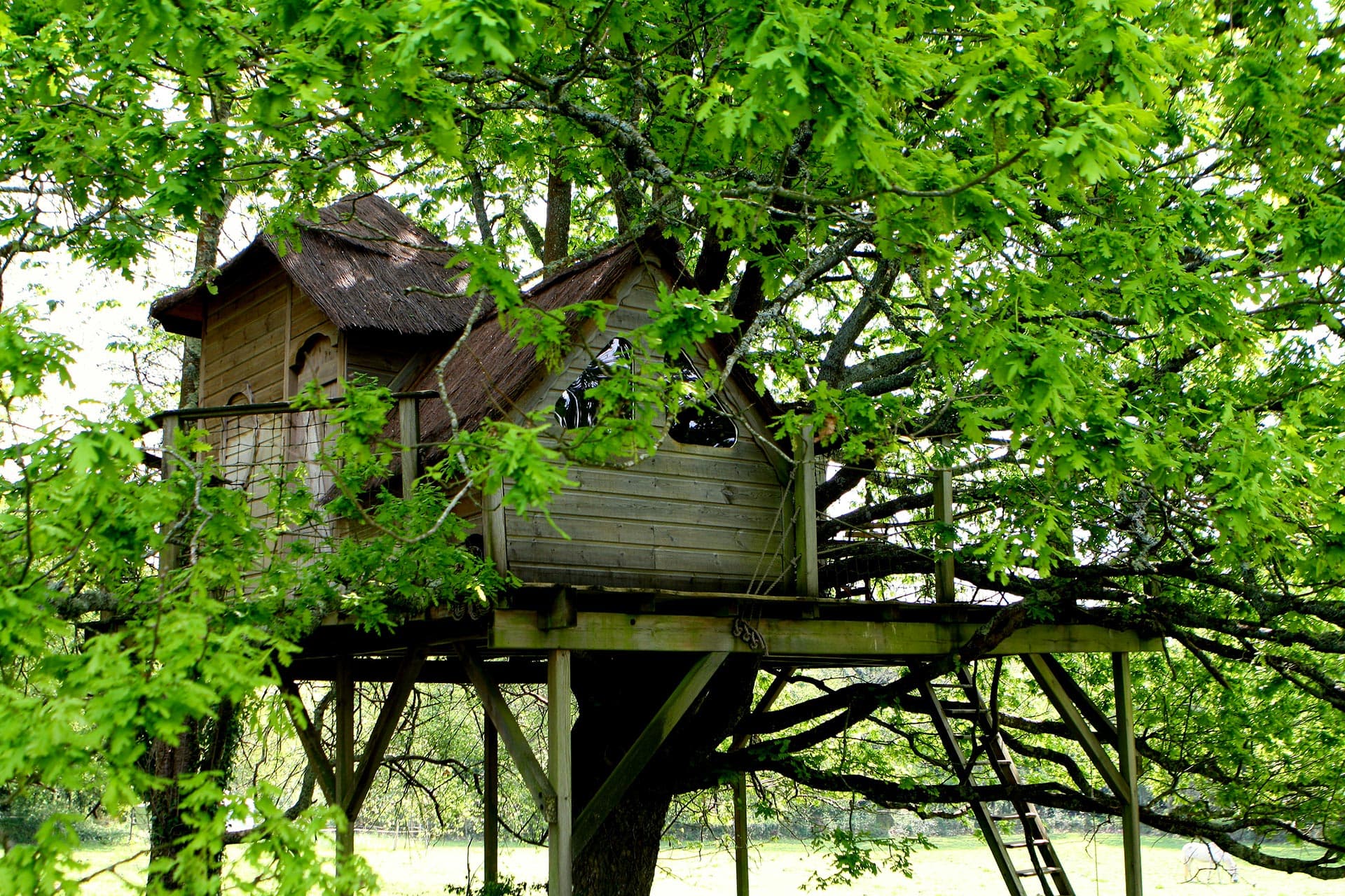 Cabane Heol