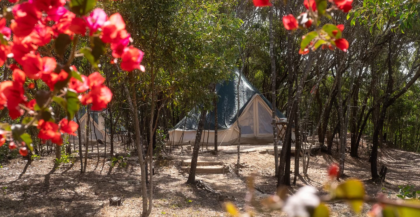 Glamping authentique