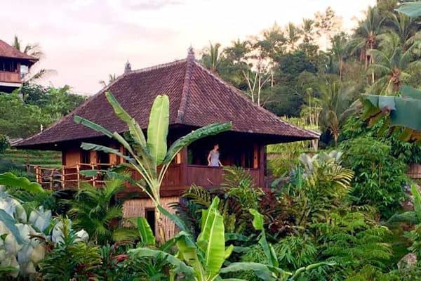 Little Padi Treehouse Bungalow