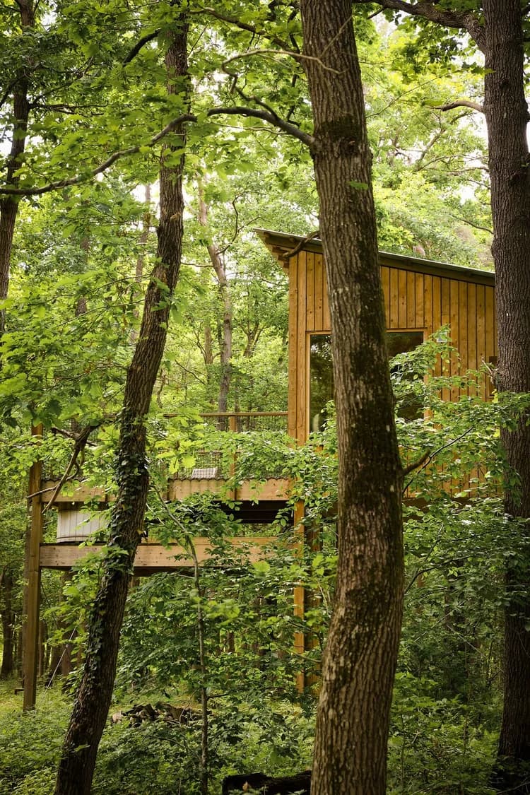 Cabane en couple
